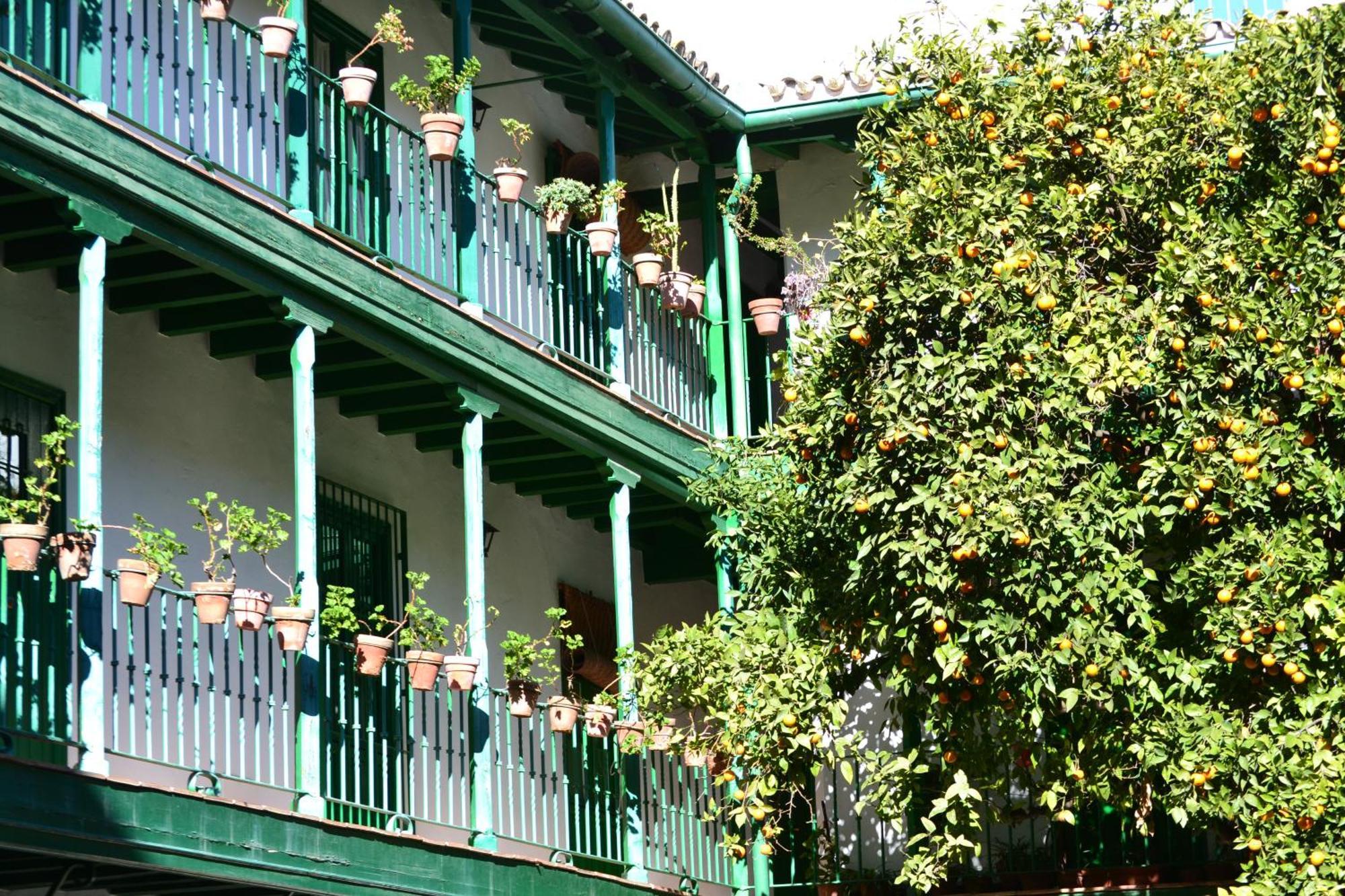 Estudio Las Setas I Sevilla Exterior foto